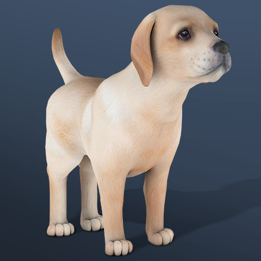 Jogo IDLE Pet online grátis - Casual