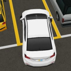 realistic parking master
