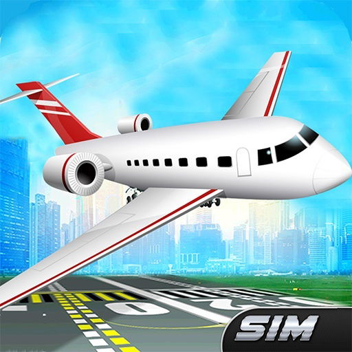 airplane flight simulator