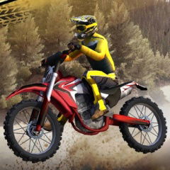 dirt bike motocross