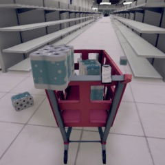 toilet paper hoarder