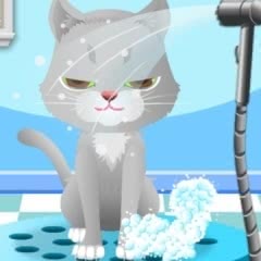 my pet spa