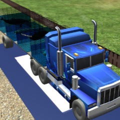 sea animal transport