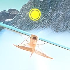 flight instructor above the mountains
