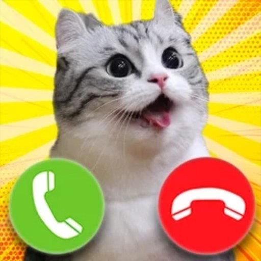 Jogo Komaru cat online grátis