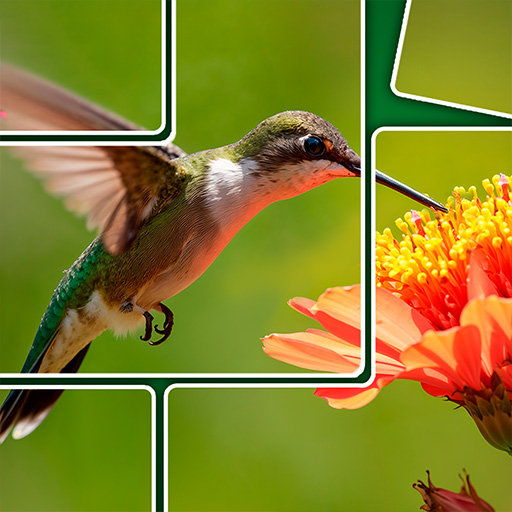 Jogo Jigsolitaire online grátis