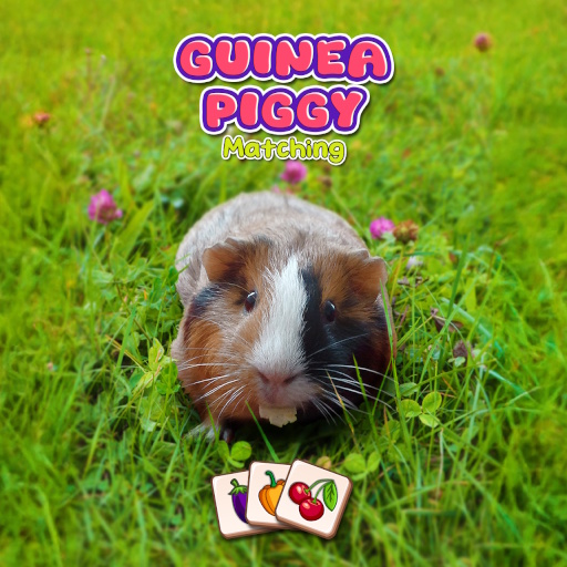 Jogo Guinea Piggy Matching online grátis