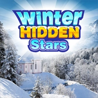 Winter Hidden Stars